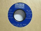 David Gates-You'll Be My Baby/What's This I Hear-Rockabilly-7