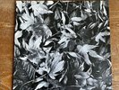 BARK PSYCHOSIS 12