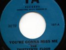 HEAR - Rare Garage 45 - The 13th Floor Elevators - You're Gonna Miss Me - IA 107