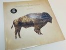 Heartless Bastards ARROW Vibyl 2xLP Record NEW Sealed