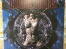 DIMMU BORGIR Puritanical Euphoric Misanthropia 1st Press 2001 Germany Purple LP
