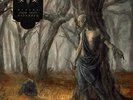 Fires In The Distance-Echoes From Deep November (UK IMPORT) VINYL NEW