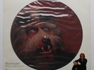 Warren Zevon Sealed Asylum DJ Only Pic Disc 12