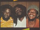 The Itals - Brutal Out Deh LP Vinyl (1981)