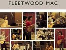 FLEETWOOD MAC THE BEST OF PETER GREEN'S FLEETWOOD MAC 2-LP (20/11/20) IN STOCK
