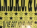 L.A.N.D.R.O & CO - IVE GOT YOUR LOVE 12