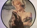 Marilyn Monroe ‘Runnin’ Wild’ Demmark Vinyl Picture Disc LP Compilation AR 30038