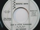 45 RPM NORTHERN SOUL RAL DONNER, IF I PROMISE / JUST A LITTLE SUNSHINE