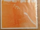 The Orchids  - An Ill Wind That Blows. Mint/Excellent 7 Inch on Caff Corporation