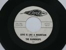 THE RAINDROPS - Love Is Like A Mountain / Maybe 45 - RARE Doo Wop Promo HEAR