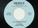 Doo-Wop 45 - Ike Perry & His Lyrics - The Love Bug's Got Me - Bridge - mp3
