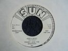 Randy And The Radiants - Peek A Boo 1964 USA 45 SUN 1st DJ/PROMO MOD/GARAGE