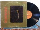 MOUNTAIN BUS Sundance LP psych rock