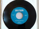 ROBBIE D AND THE ROBBETTES PRECIOUS MEMORIES / DETROIT LAND APPLES I NEED...