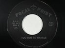 Hard Rock AOR 45 - Focal Point - Too Hot To Handle/Running Scared - VG+ obscure