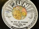 Pimply Garage Punk Promo 45 Randy & the Radiants My Way of Thinking SUN HEAR