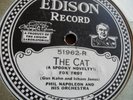Edison Disc Hot Dance Jazz Phil Napoleon The Cat Don Voorhees Pardon The Glove E