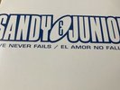 Sandy & Junior Love Never Fails Blue Vinyl 12” RARE Promo Brazil  DANCE Remix