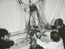 HERMANN NITSCH Akustisches Abreaktionsspiel LP *SEALED* otto muehl beuys fluxus