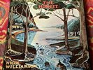 THE HOBBIT VINYL 4 LP Box Set with BOOKLET tolkien '74  read by Nicol Williamson