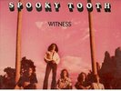Spooky Tooth         Gary Wright       7-LP's