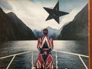 David Bowie - Ear Healing LP - Vinyl Earthling Remix and Rarities