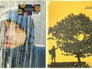 Jack Johnson in Between Dreams + Brushfire Fairytales LP Vinyl Record Album Lot
