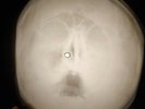Doors - My Eyes Have Seen You X-RAY OF THE USSR BONES RECORD