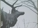 Agalloch – The Mantle 2x LP Clear (Grau)- Alcest- Wolves in the Throne Room- Fen