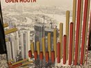 Fear Before The March Of Flames - The Always Open Mouth Vinyl 2XLP