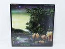 FLEETWOOD MAC TANGO IN THE NIGHT DISCO VINILE 33 GIRI 1987