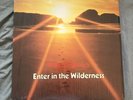 Willard F. Jabusch “Enter In The Wildnerness” Rare EX LP Xian Rock Soul Funk WLP