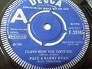 Paul & Barry Ryan - I Love How You Love Me - Vinyl 7