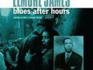 ELMORE JAMES: BLUES AFTER HOURS PLUS + 9 BONUS TRACKS (LP vinyl *BRAND NEW*.)