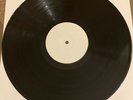 Robert Plant The Mighty Rearranger 12” Vinyl Test Pressings White Labels