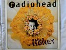 Radiohead - Pablo Honey Vinyl VG+