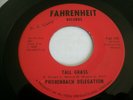PHORENBACH DELEGATION-NEW RULES-TALL GRASS-VERY RARE GARAGE ROCK RARE D.J. COPY