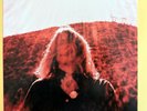 TY SEGALL - Manipulator  Clear Red Colored Vinyl 2LP 2014 Drag City