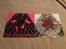 The Loved Ones - S/T 10” Colored Vinyl Bouncing Souls Nofx Kid Dynamite