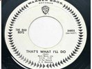 THE BAD BOYS What I’ll Do / Owl & Pussycat WB promo psych garage beat   Hear 45