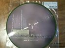 Rare Marilyn Manson The Beautiful People Green Vinyl 10 Inch Single Picture Disc