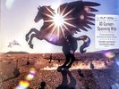 STEVE MILLER - ULTIMATE HITS - 4 LP 180 GRAM VINYL SET 