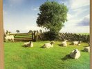 THE KLF 