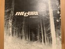 THE CURE -A Forest- Rare Original UK 7” + Picture Sleeve (Vinyl Record) Auct.