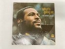 MARVIN GAYE-WHATS GOING ON-DYNAFLEX PRESSING-VINYL 7.0, SLEEVE 6.0
