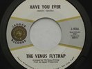 Psych Garage Bay Area THE VENUS FLYTRAP Have You Ever VG+ JAGUAR 45 HEAR