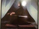 Album Vinyle 33t Taxi Girl seppuku Parfait