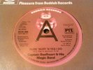 CAPTAIN BEEFHEART - SURE NUFF / ELECTRICITY 'PROMO' 7