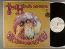 Jimi Hendrix Experience, The  Are You Experienced  RARE  MONO White Label Promo