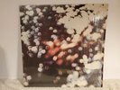 Pink Floyd Obscured by Clouds In Shrink Hype St 1st Press Harvest Records LP